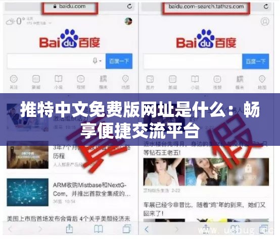 推特中文免费版网址是什么：畅享便捷交流平台