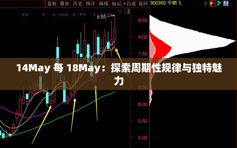 14May 每 18May：探索周期性规律与独特魅力