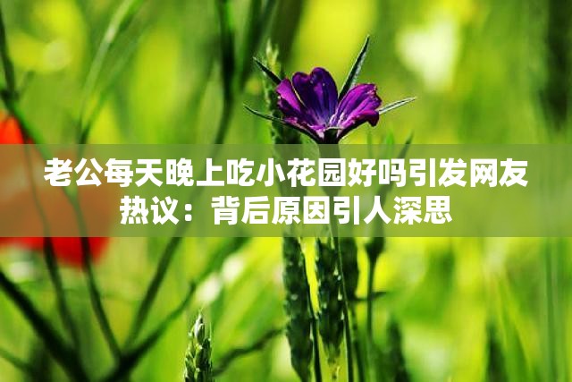 老公每天晚上吃小花园好吗引发网友热议：背后原因引人深思