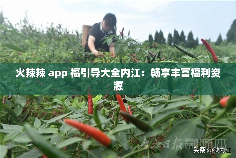 火辣辣 app 福引导大全内江：畅享丰富福利资源