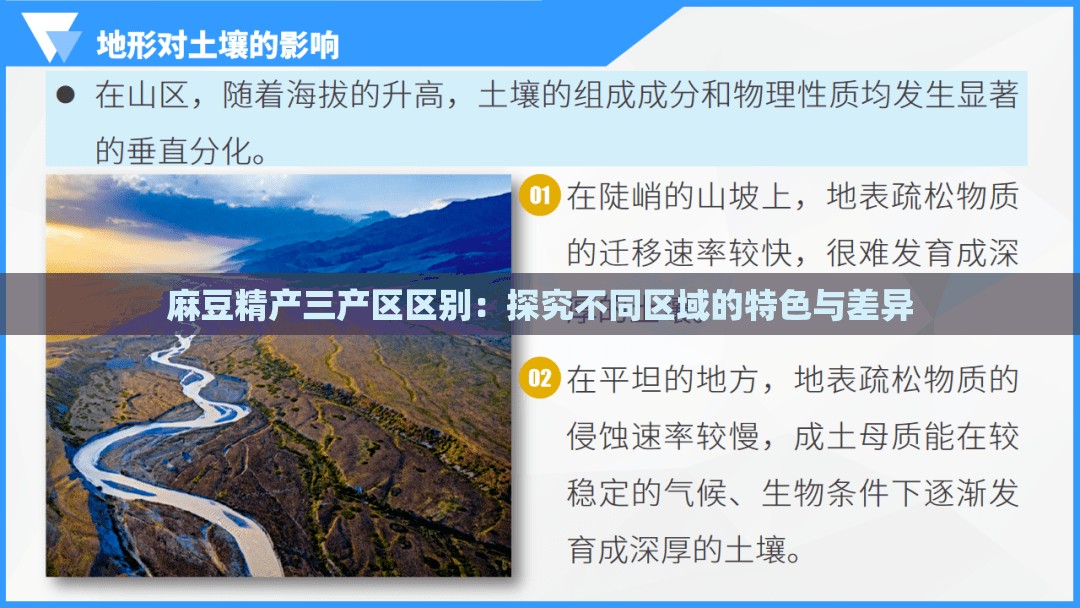 麻豆精产三产区区别：探究不同区域的特色与差异