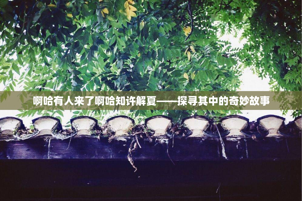 啊哈有人来了啊哈知许解夏——探寻其中的奇妙故事