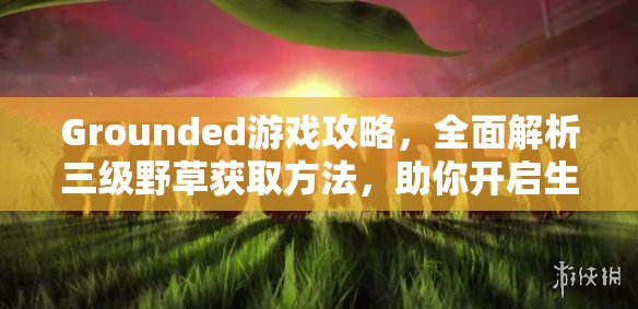 Grounded游戏攻略，全面解析三级野草获取方法，助你开启生存挑战新篇章