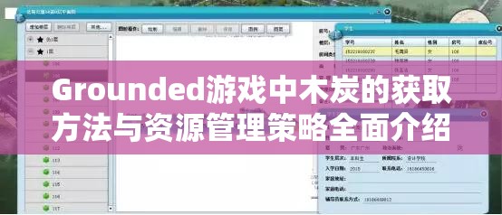 Grounded游戏中木炭的获取方法与资源管理策略全面介绍