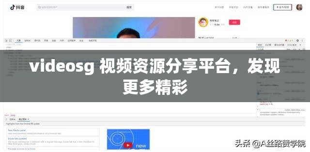 videosg 视频资源分享平台，发现更多精彩