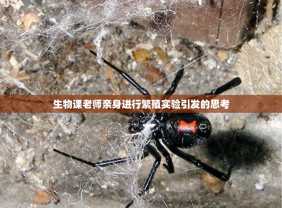 生物课老师亲身进行繁殖实验引发的思考