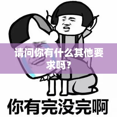 请问你有什么其他要求吗？