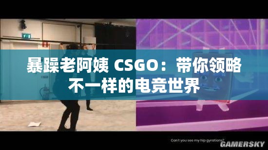 暴躁老阿姨 CSGO：带你领略不一样的电竞世界