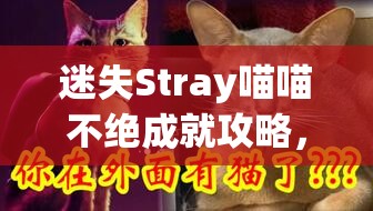 迷失Stray喵喵不绝成就攻略，资源管理重要性解析与高效完成策略