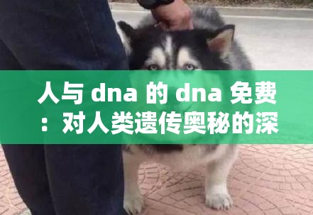 人与 dna 的 dna 免费：对人类遗传奥秘的深入探索与思考