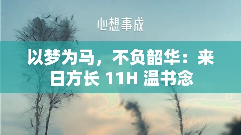 以梦为马，不负韶华：来日方长 11H 温书念