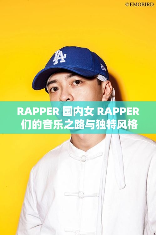 RAPPER 国内女 RAPPER 们的音乐之路与独特风格展现