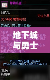 地下城与勇士决斗模式，深入剖析简易指令与标准指令的差异与运用