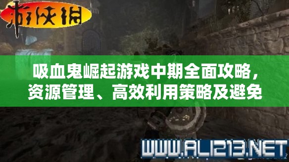 吸血鬼崛起游戏中期全面攻略，资源管理、高效利用策略及避免资源浪费详解