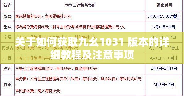 关于如何获取九幺1031 版本的详细教程及注意事项