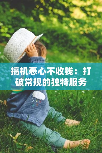 搞机恶心不收钱：打破常规的独特服务模式引争议