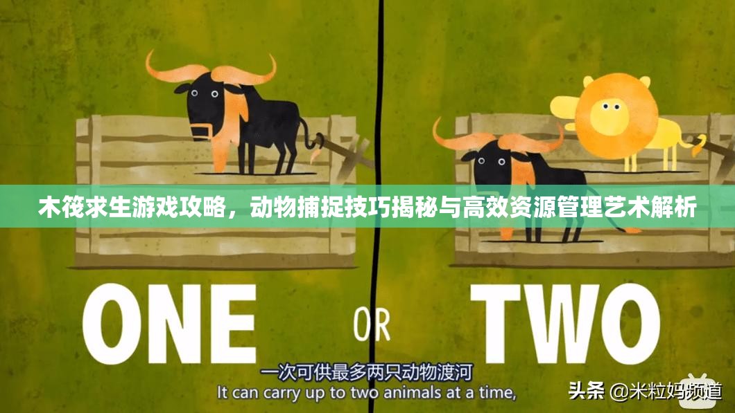 木筏求生游戏攻略，动物捕捉技巧揭秘与高效资源管理艺术解析