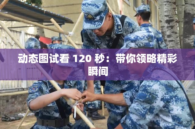 动态图试看 120 秒：带你领略精彩瞬间