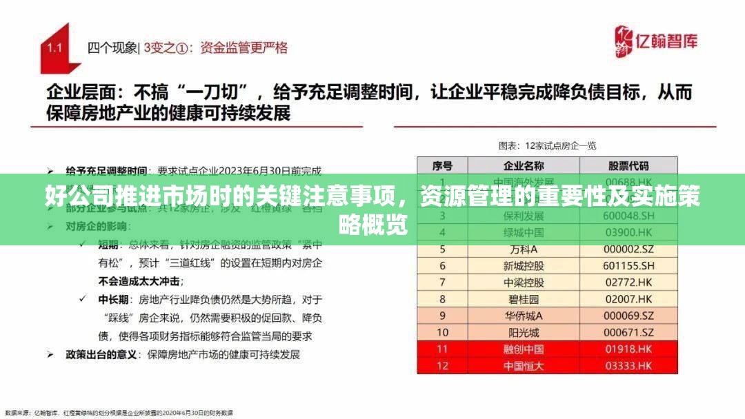 好公司推进市场时的关键注意事项，资源管理的重要性及实施策略概览