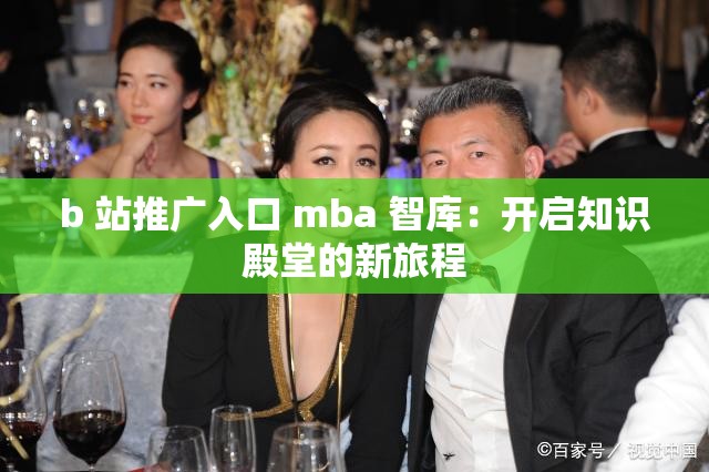 b 站推广入口 mba 智库：开启知识殿堂的新旅程