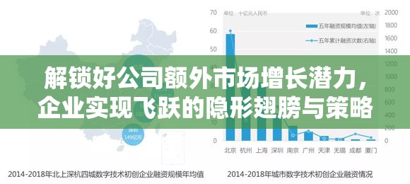 解锁好公司额外市场增长潜力，企业实现飞跃的隐形翅膀与策略