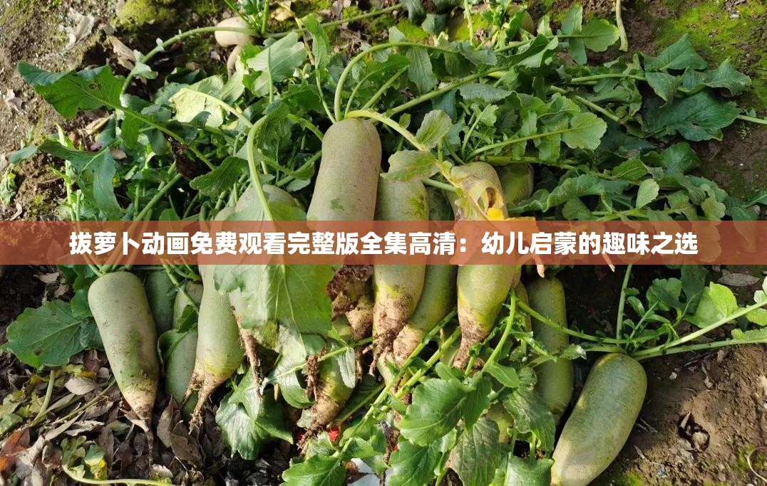 拔萝卜动画免费观看完整版全集高清：幼儿启蒙的趣味之选