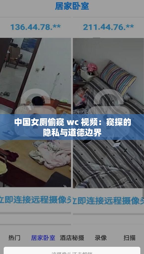 中国女厕偷窥 wc 视频：窥探的隐私与道德边界