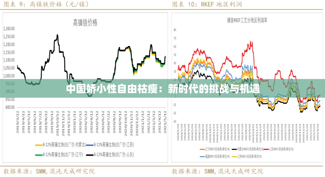 中国娇小性自由枯瘦：新时代的挑战与机遇