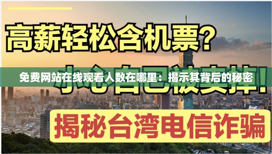 免费网站在线观看人数在哪里：揭示其背后的秘密