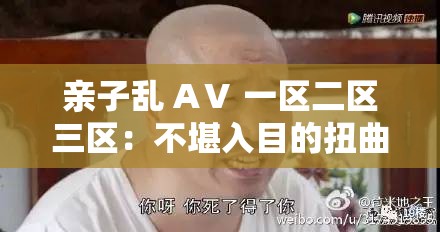 亲子乱 AⅤ 一区二区三区：不堪入目的扭曲行为大揭秘