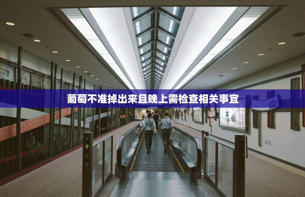 葡萄不准掉出来且晚上需检查相关事宜