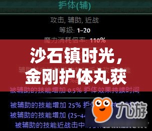 沙石镇时光，金刚护体丸获取方法及其在游戏资源管理与防御中的重要性