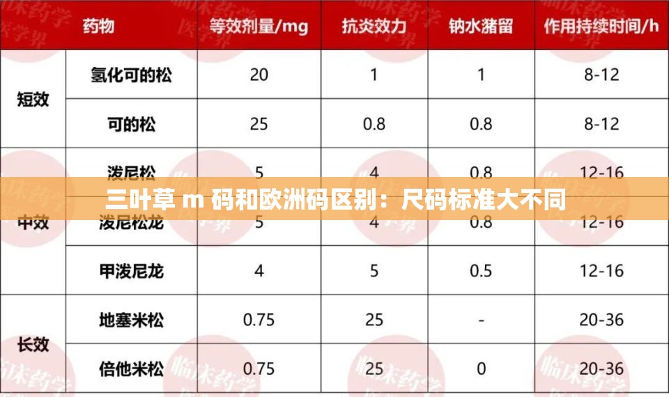 三叶草 m 码和欧洲码区别：尺码标准大不同