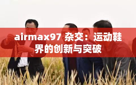 airmax97 杂交：运动鞋界的创新与突破