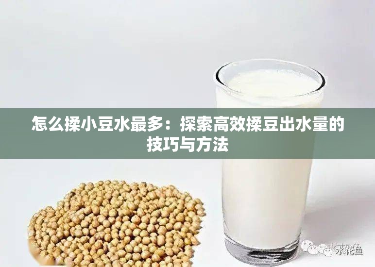 怎么揉小豆水最多：探索高效揉豆出水量的技巧与方法