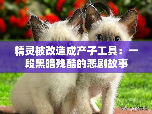 精灵被改造成产子工具：一段黑暗残酷的悲剧故事