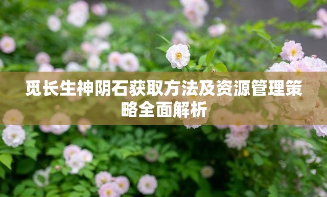 觅长生神阴石获取方法及资源管理策略全面解析