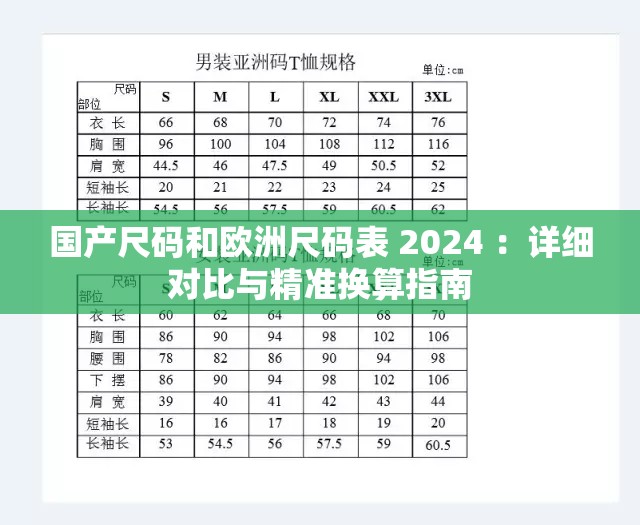 国产尺码和欧洲尺码表 2024 ：详细对比与精准换算指南