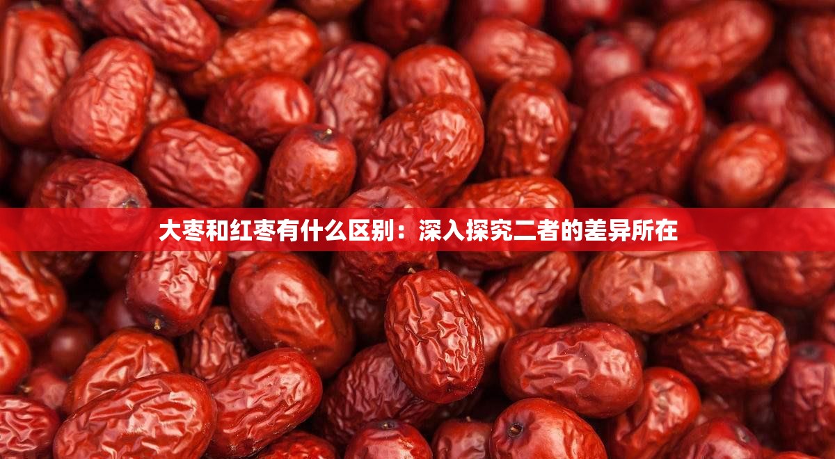 大枣和红枣有什么区别：深入探究二者的差异所在