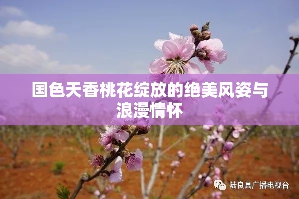 国色天香桃花绽放的绝美风姿与浪漫情怀