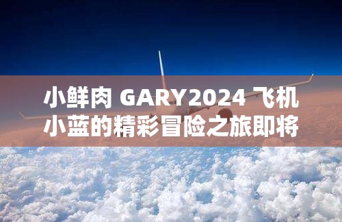 小鲜肉 GARY2024 飞机小蓝的精彩冒险之旅即将开启