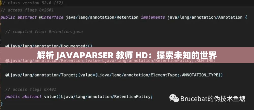 解析 JAVAPARSER 教师 HD：探索未知的世界