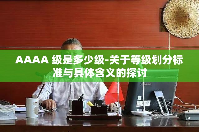 AAAA 级是多少级-关于等级划分标准与具体含义的探讨