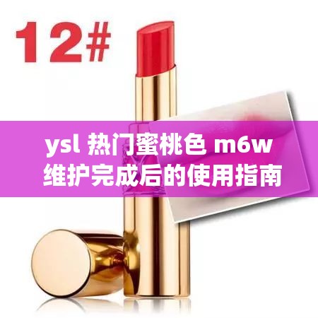 ysl 热门蜜桃色 m6w 维护完成后的使用指南及注意事项