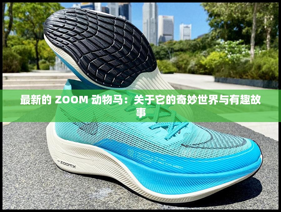 最新的 ZOOM 动物马：关于它的奇妙世界与有趣故事