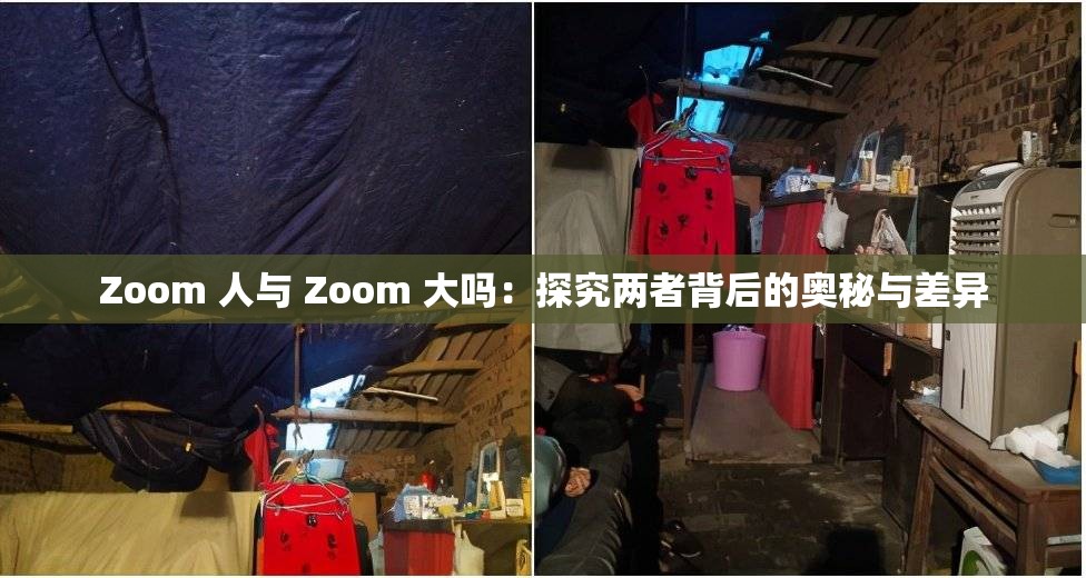 Zoom 人与 Zoom 大吗：探究两者背后的奥秘与差异