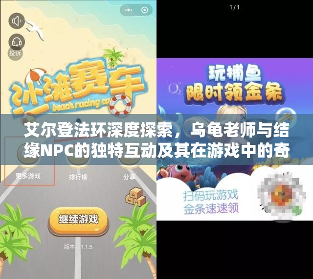 艾尔登法环深度探索，乌龟老师与结缘NPC的独特互动及其在游戏中的奇妙影响