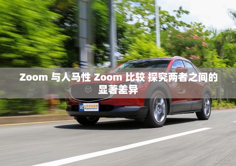 Zoom 与人马性 Zoom 比较 探究两者之间的显著差异