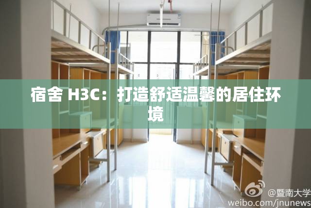 宿舍 H3C：打造舒适温馨的居住环境