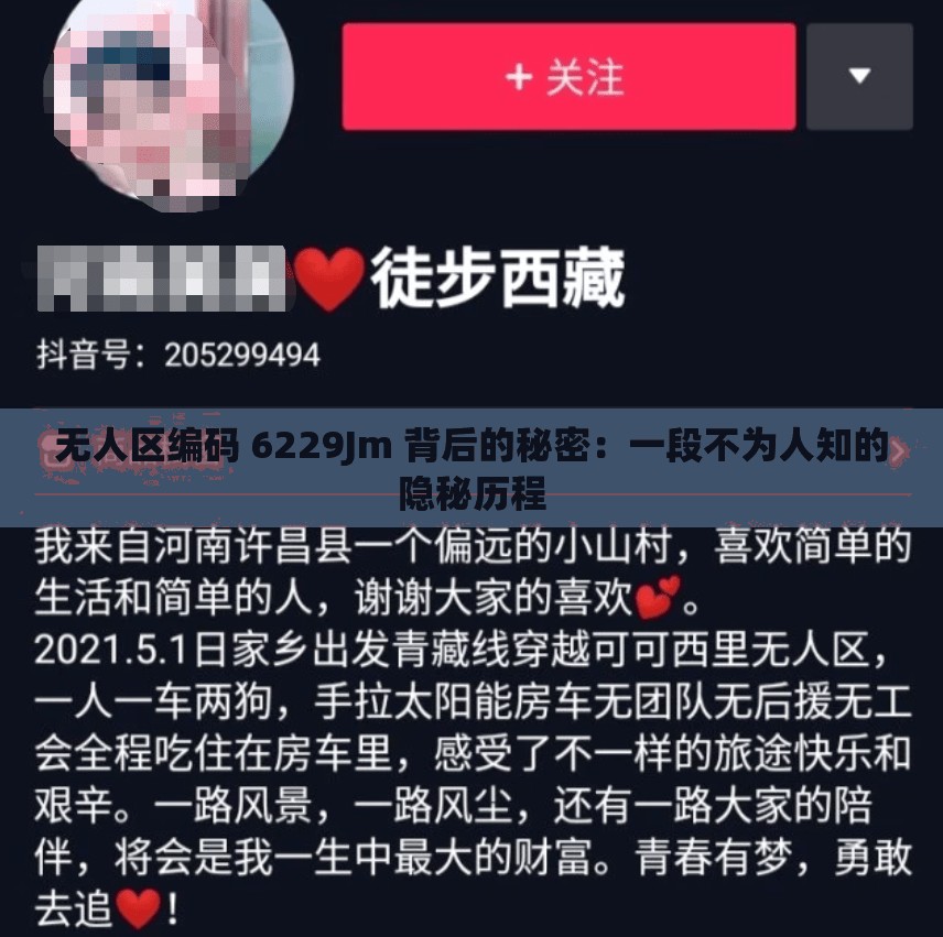 无人区编码 6229Jm 背后的秘密：一段不为人知的隐秘历程